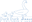 Duck Duck Goose Columbia, SC logo